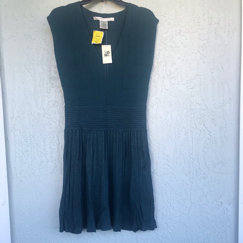 🦄 Max Studio Fit and Flare Sweater Dress